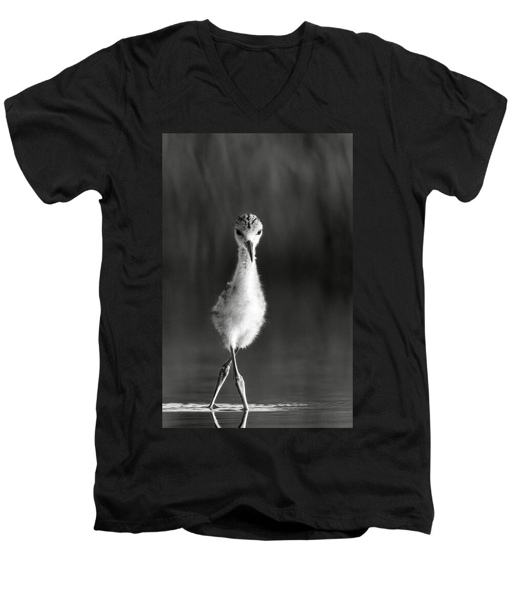Curious Young Bird Standing in Water - Men's V-Neck T-Shirt