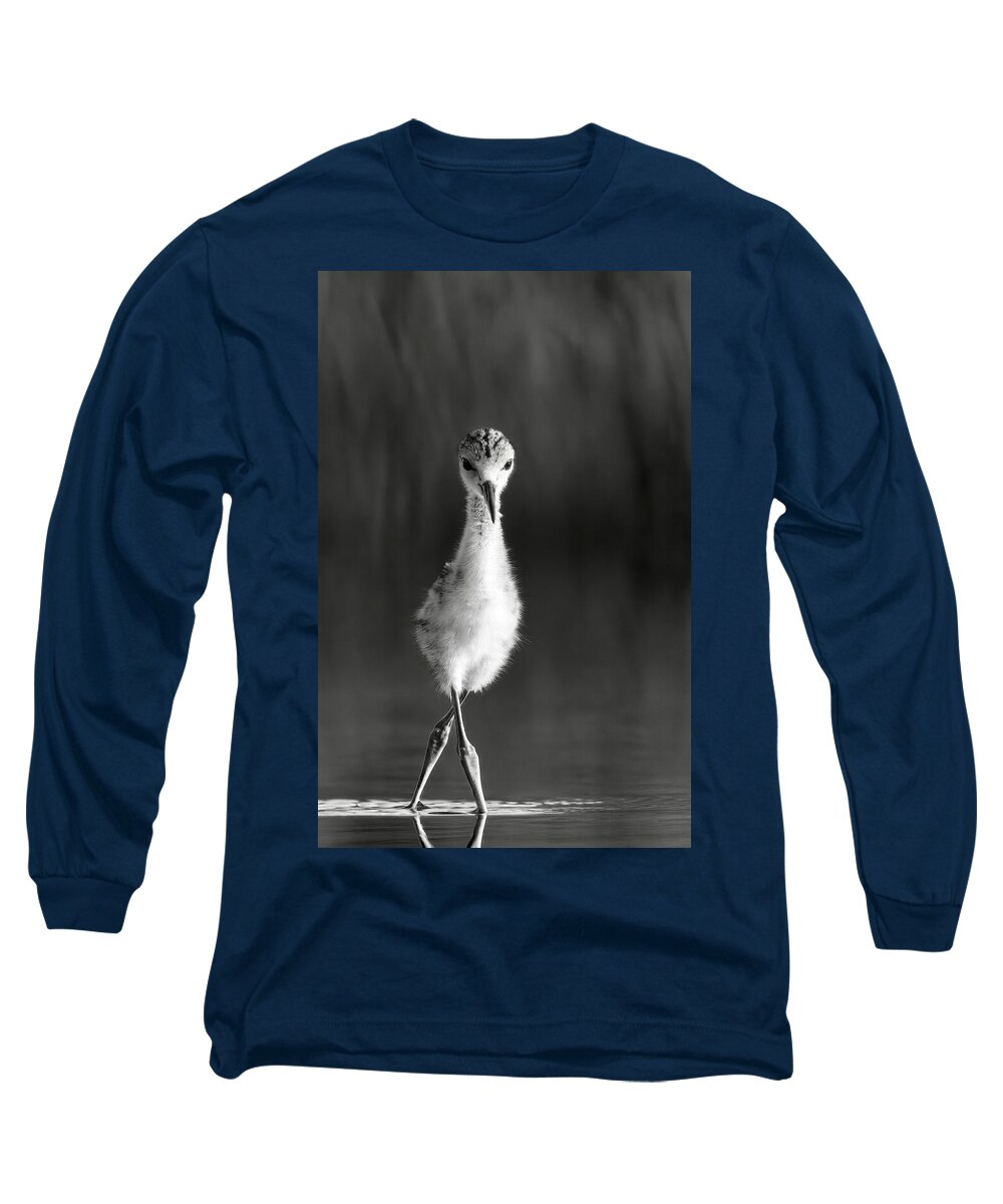 Curious Young Bird Standing in Water - Long Sleeve T-Shirt