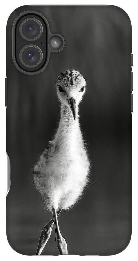 Curious Young Bird Standing in Water - Phone Case