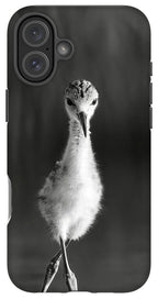 Curious Young Bird Standing in Water - Phone Case