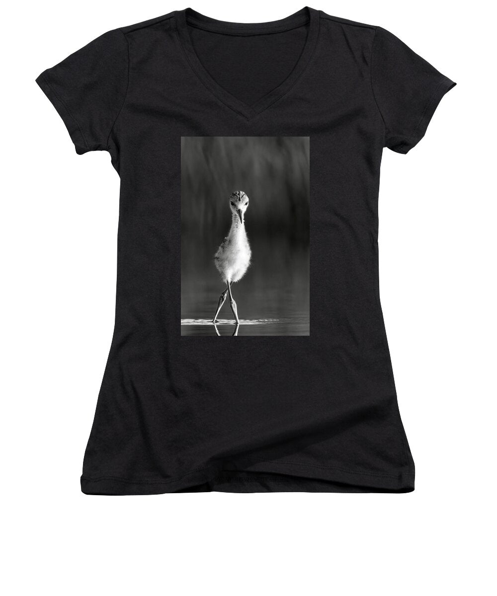 Curious Young Bird Standing in Water - Women's V-Neck