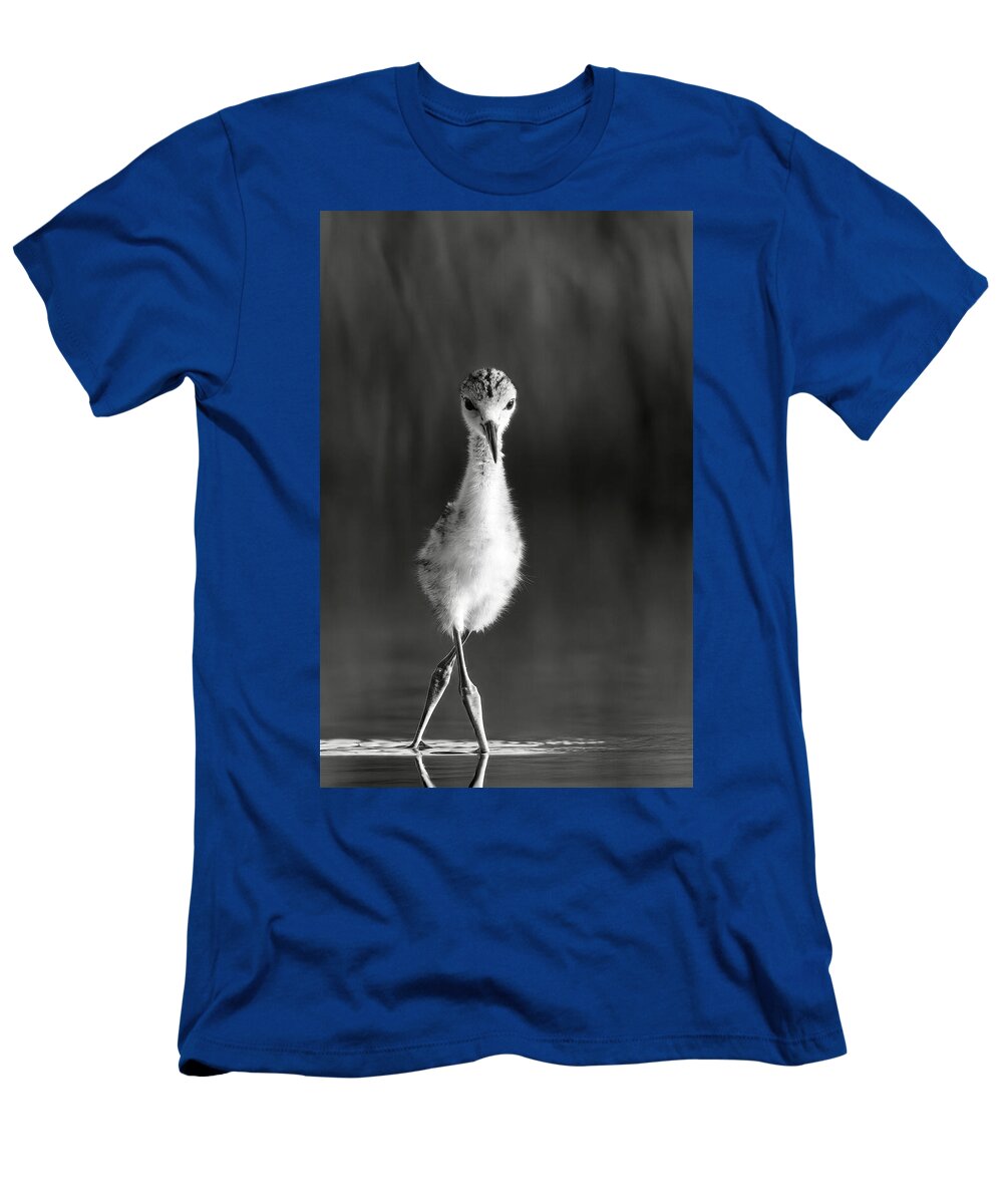 Curious Young Bird Standing in Water - T-Shirt