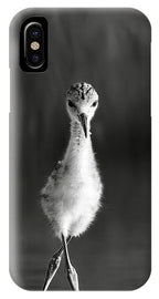 Curious Young Bird Standing in Water - Phone Case