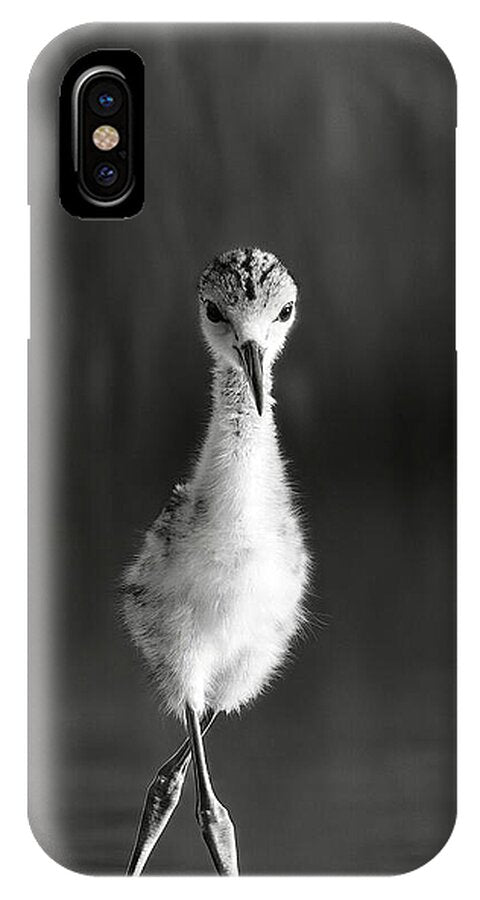 Curious Young Bird Standing in Water - Phone Case