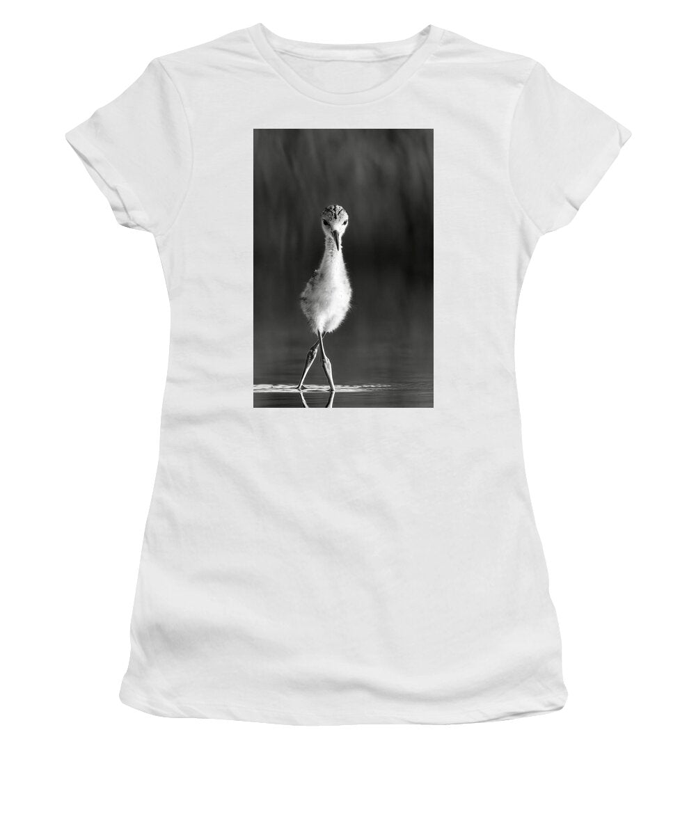 Curious Young Bird Standing in Water - Women's T-Shirt