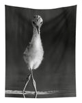 Curious Young Bird Standing in Water - Tapestry