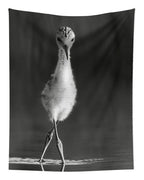 Curious Young Bird Standing in Water - Tapestry