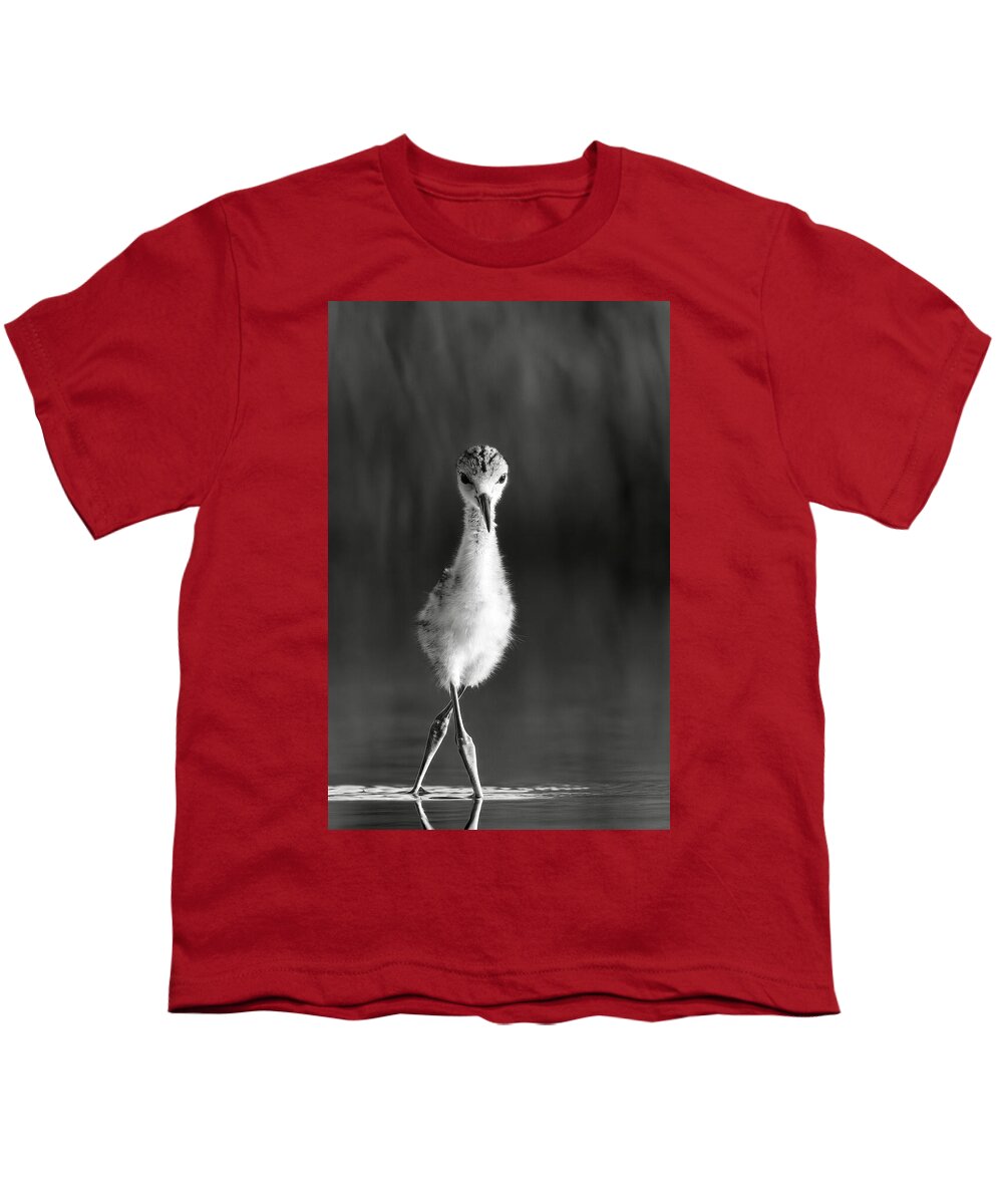 Curious Young Bird Standing in Water - Youth T-Shirt