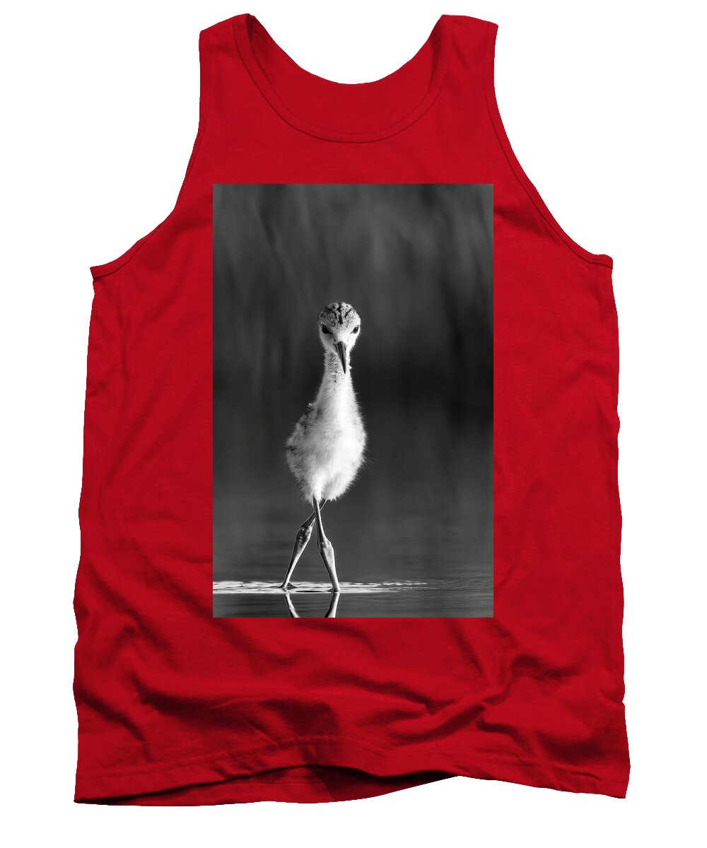 Curious Young Bird Standing in Water - Tank Top