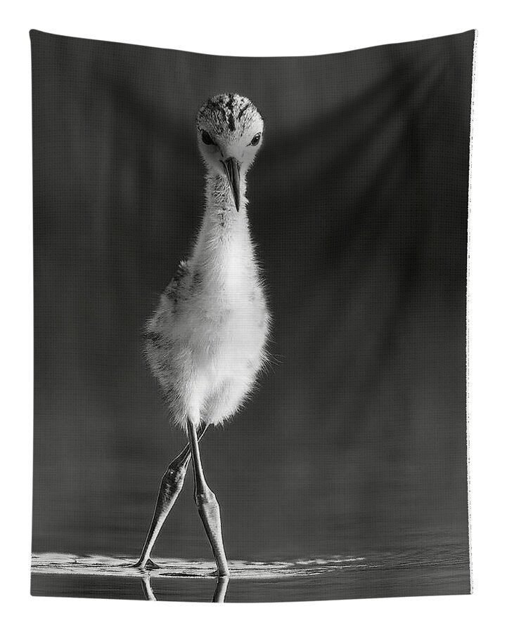 Curious Young Bird Standing in Water - Tapestry