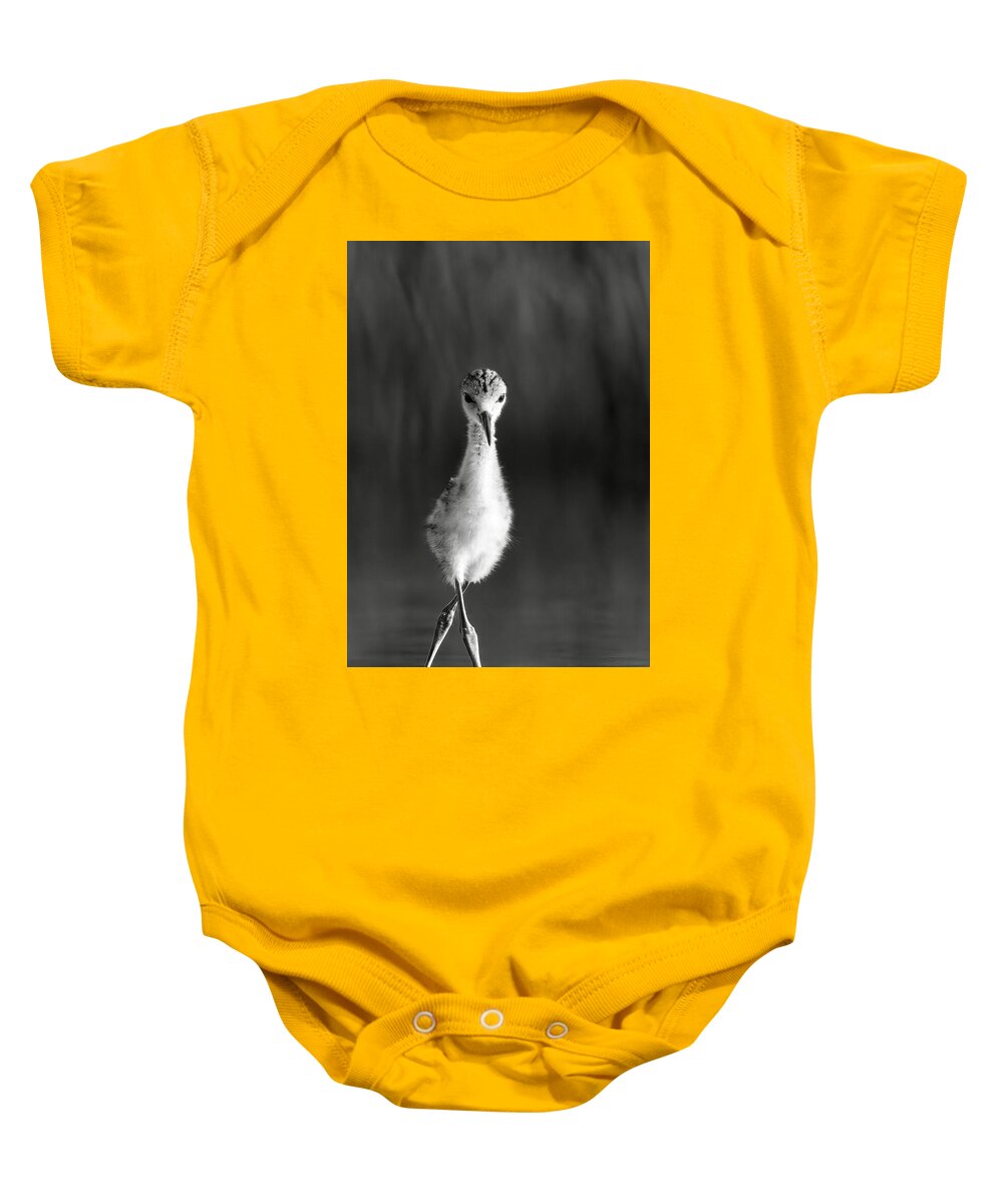 Curious Young Bird Standing in Water - Baby One-Piece