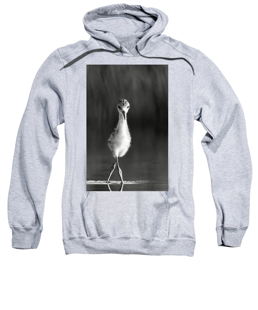Curious Young Bird Standing in Water - Sweatshirt