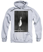 Curious Young Bird Standing in Water - Sweatshirt