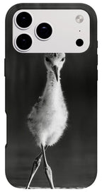 Curious Young Bird Standing in Water - Phone Case