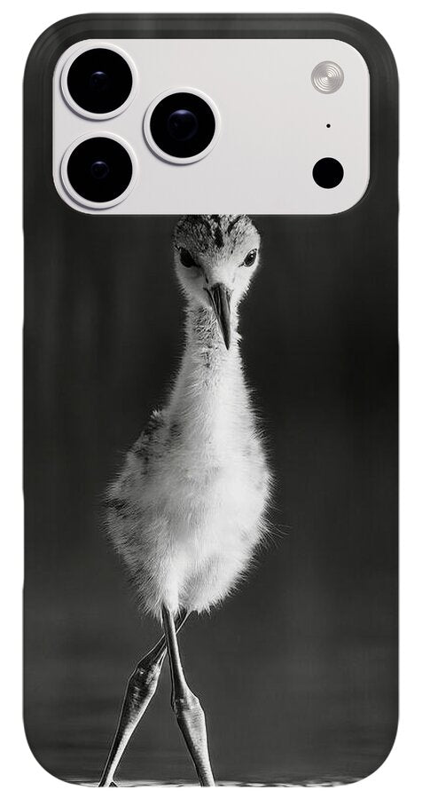 Curious Young Bird Standing in Water - Phone Case