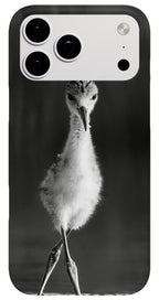 Curious Young Bird Standing in Water - Phone Case
