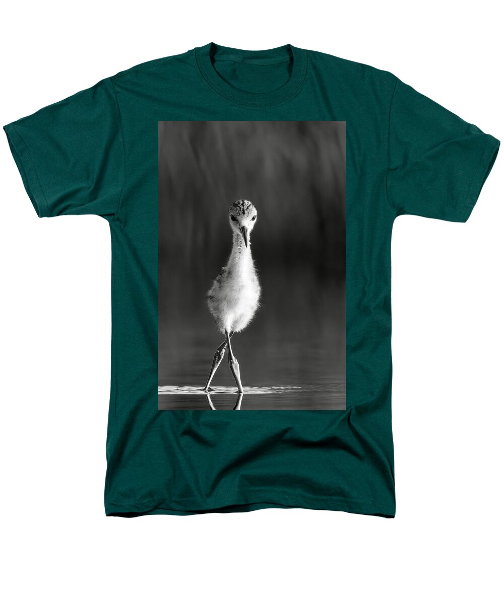 Curious Young Bird Standing in Water - Men's T-Shirt  (Regular Fit)