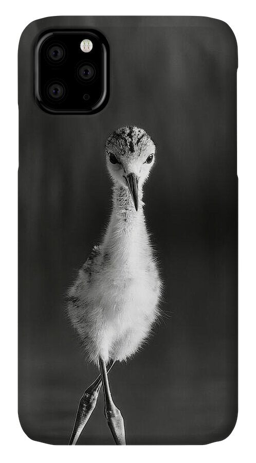 Curious Young Bird Standing in Water - Phone Case