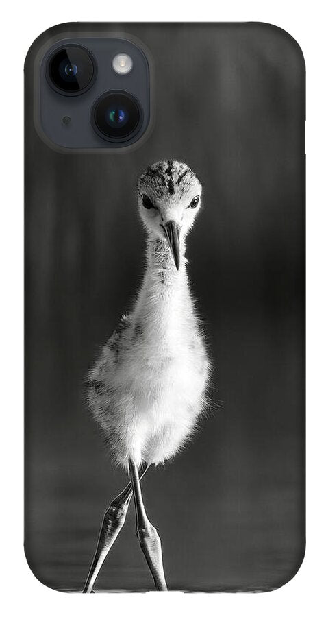 Curious Young Bird Standing in Water - Phone Case