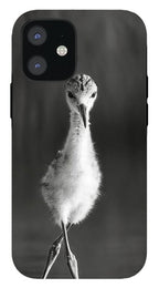 Curious Young Bird Standing in Water - Phone Case
