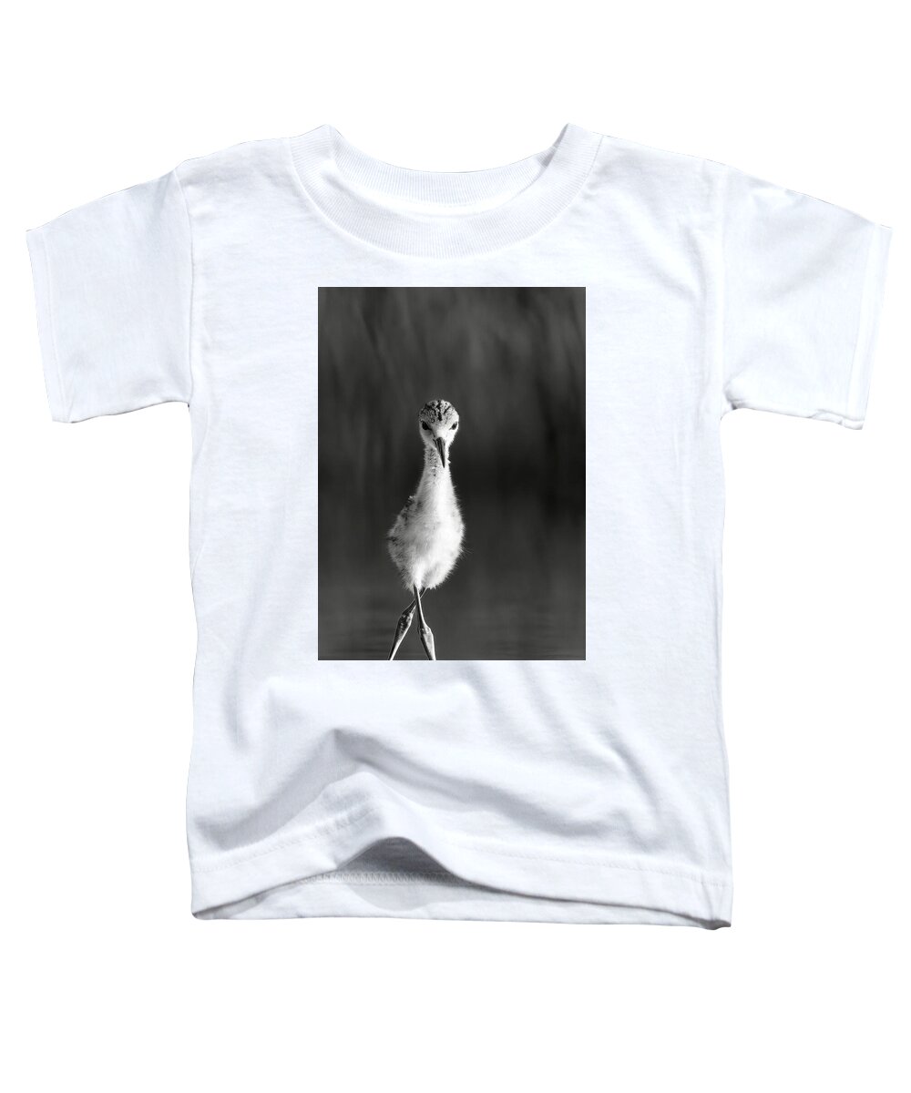 Curious Young Bird Standing in Water - Toddler T-Shirt