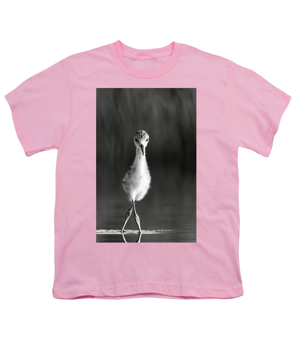 Curious Young Bird Standing in Water - Youth T-Shirt