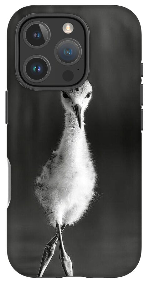 Curious Young Bird Standing in Water - Phone Case
