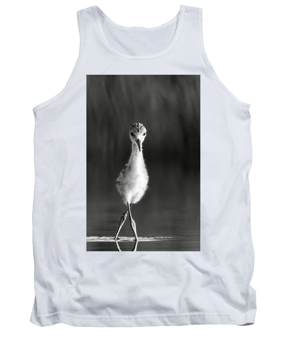 Curious Young Bird Standing in Water - Tank Top
