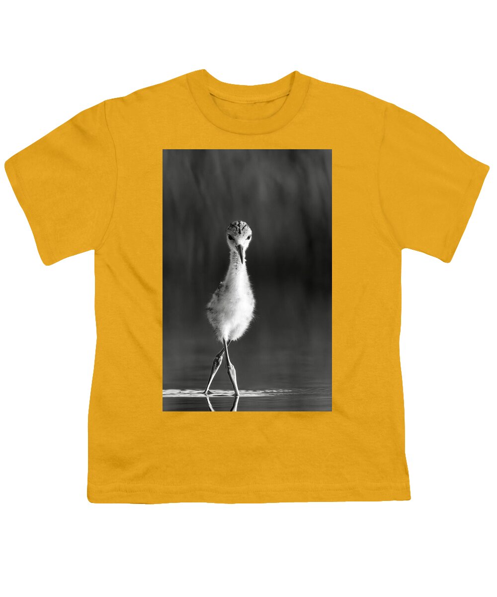 Curious Young Bird Standing in Water - Youth T-Shirt