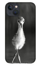 Curious Young Bird Standing in Water - Phone Case