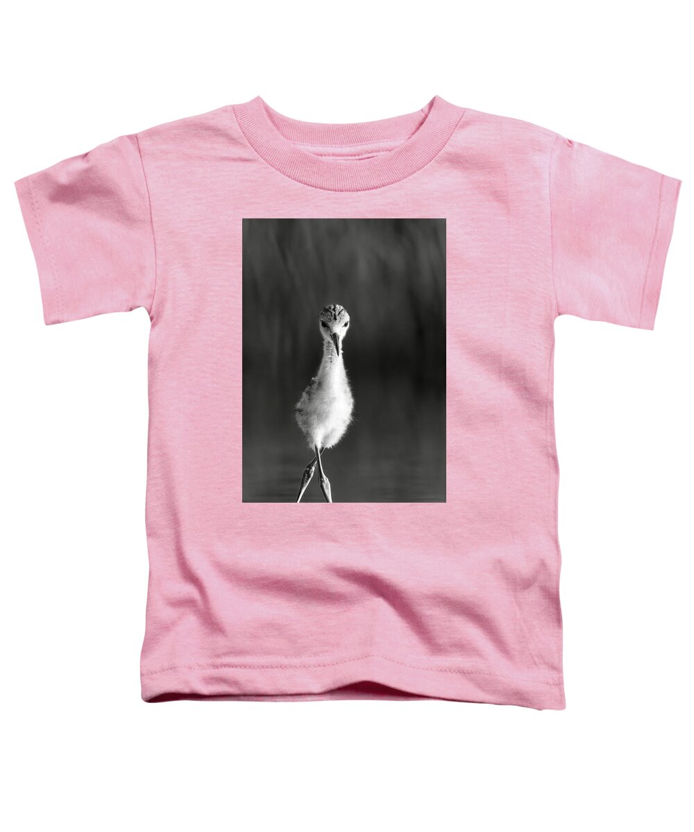 Curious Young Bird Standing in Water - Toddler T-Shirt