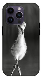 Curious Young Bird Standing in Water - Phone Case