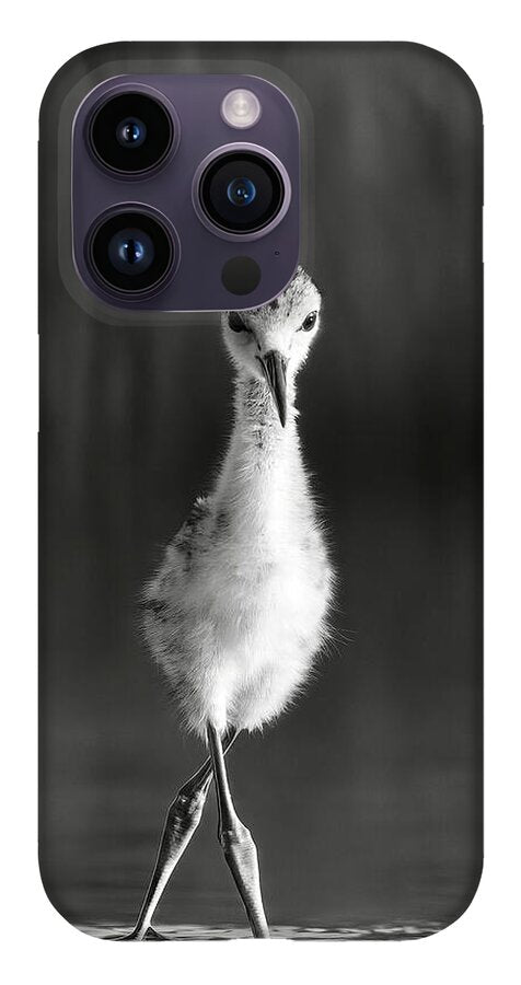 Curious Young Bird Standing in Water - Phone Case