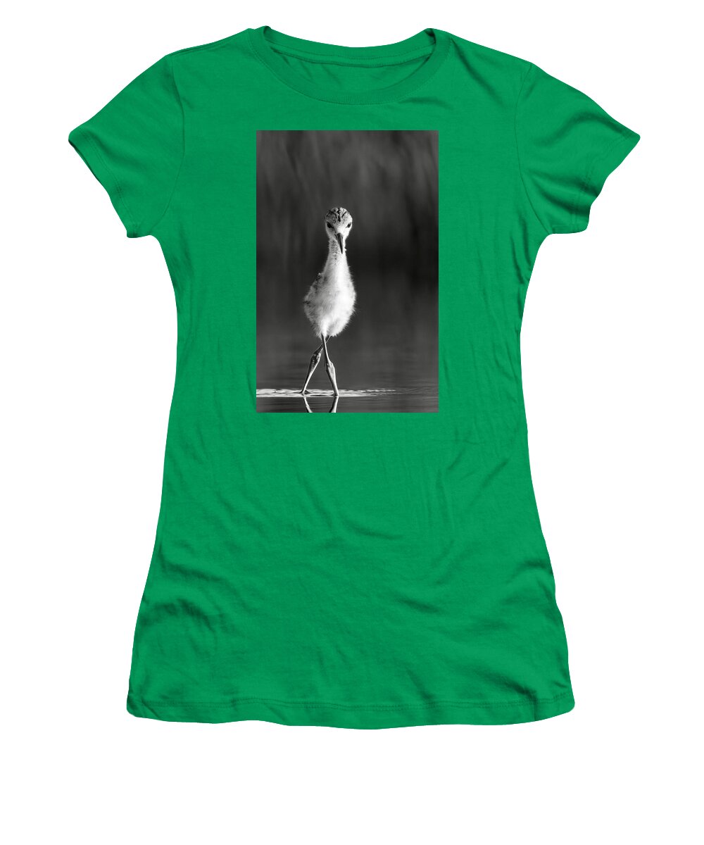 Curious Young Bird Standing in Water - Women's T-Shirt