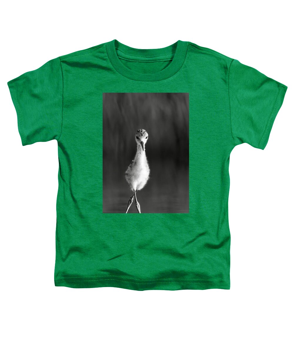 Curious Young Bird Standing in Water - Toddler T-Shirt