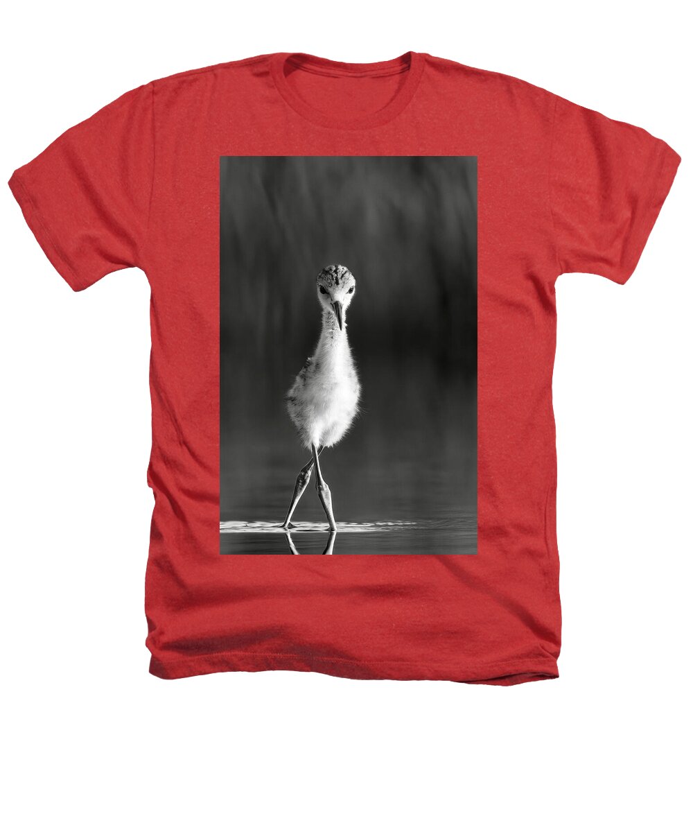 Curious Young Bird Standing in Water - Heathers T-Shirt