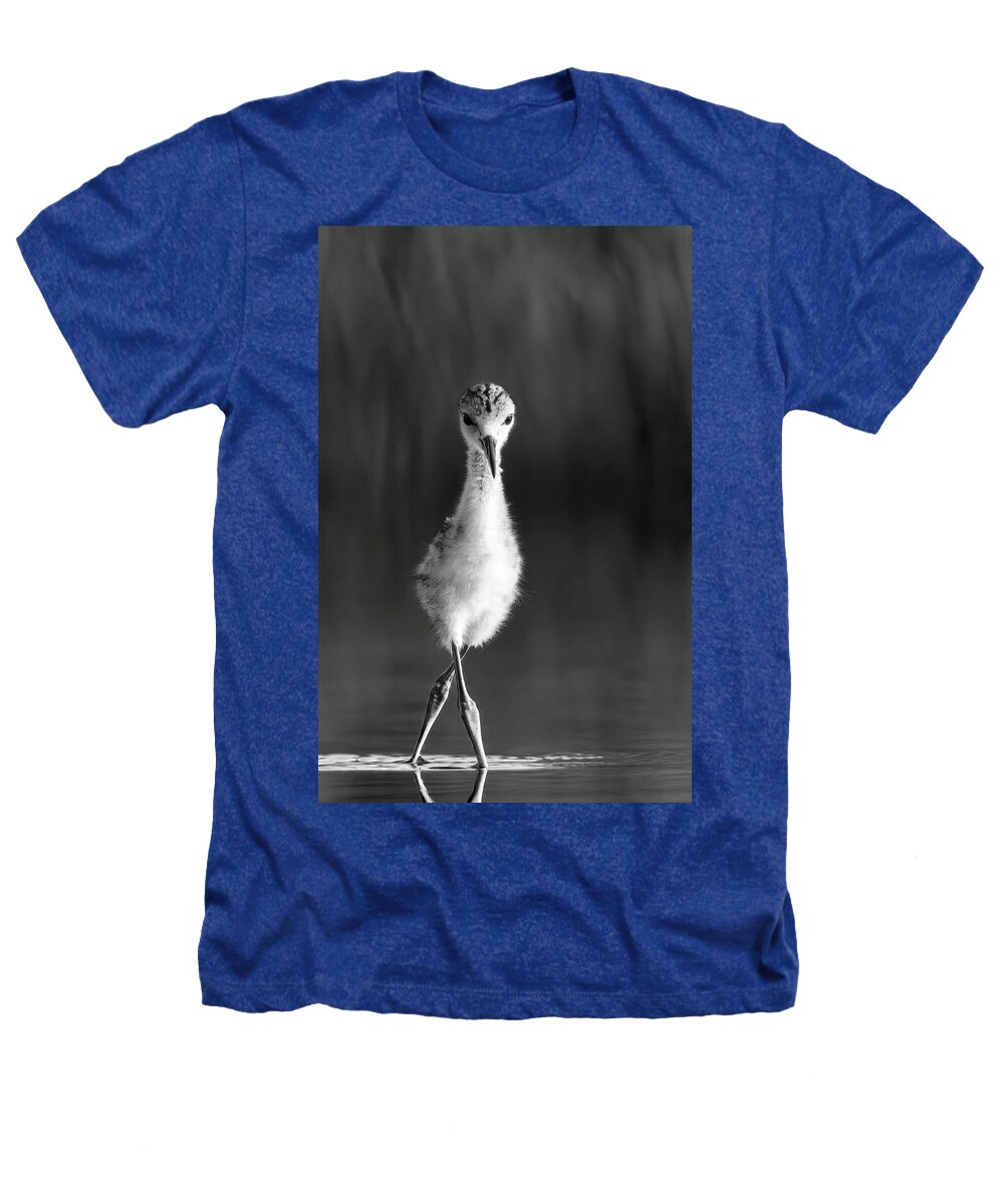 Curious Young Bird Standing in Water - Heathers T-Shirt