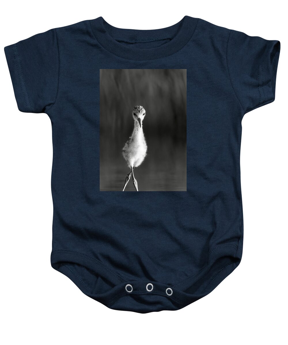 Curious Young Bird Standing in Water - Baby One-Piece