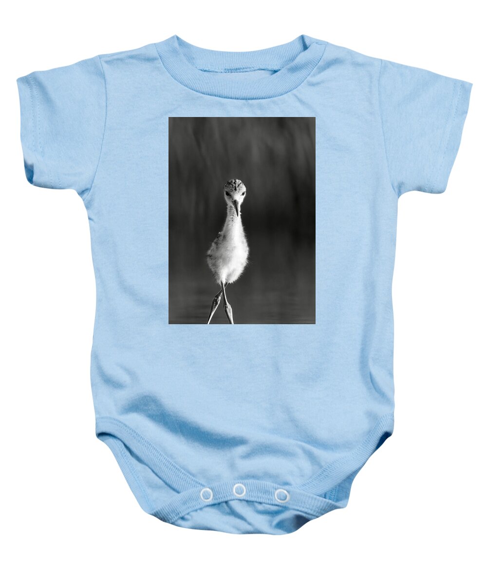 Curious Young Bird Standing in Water - Baby One-Piece