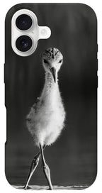 Curious Young Bird Standing in Water - Phone Case
