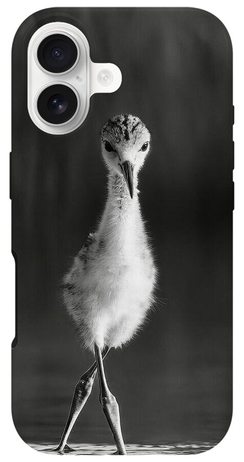 Curious Young Bird Standing in Water - Phone Case