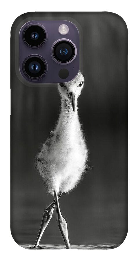Curious Young Bird Standing in Water - Phone Case