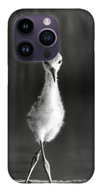 Curious Young Bird Standing in Water - Phone Case