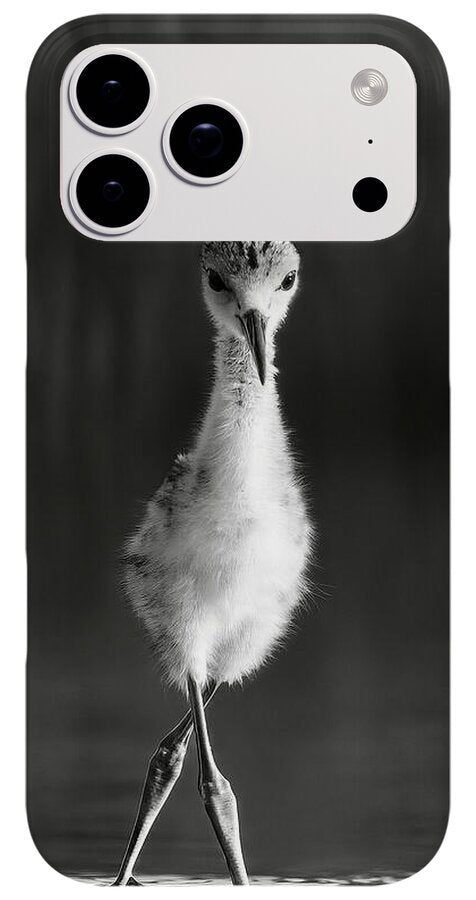 Curious Young Bird Standing in Water - Phone Case