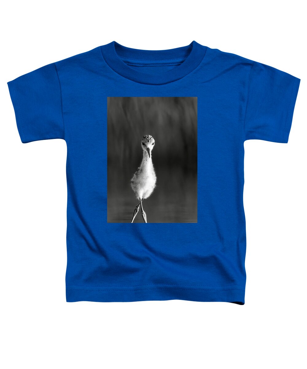 Curious Young Bird Standing in Water - Toddler T-Shirt