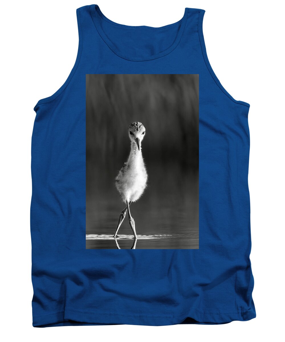 Curious Young Bird Standing in Water - Tank Top
