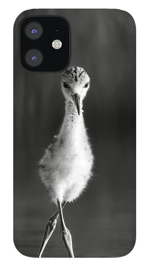 Curious Young Bird Standing in Water - Phone Case