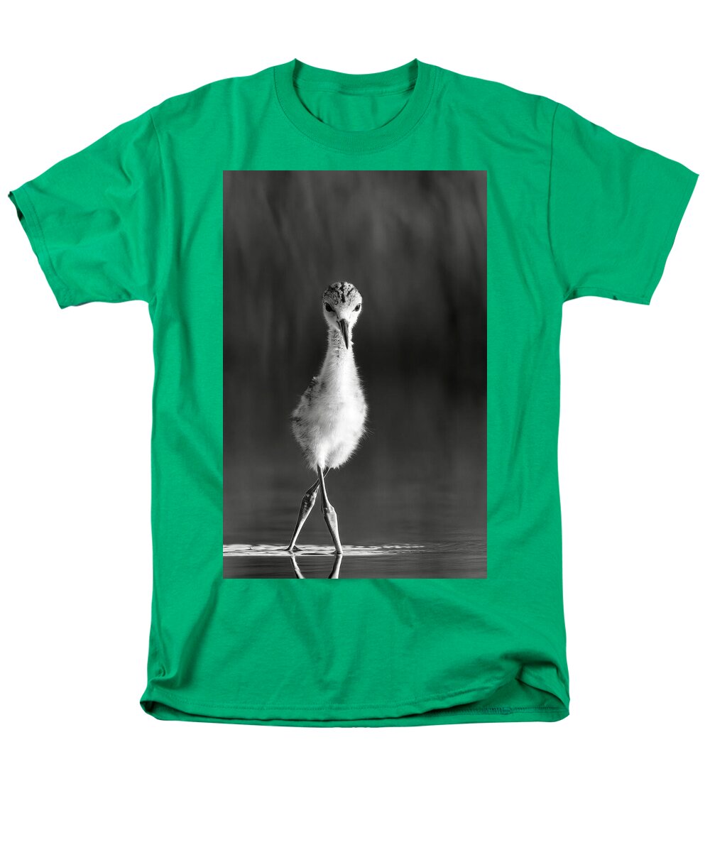 Curious Young Bird Standing in Water - Men's T-Shirt  (Regular Fit)
