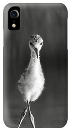 Curious Young Bird Standing in Water - Phone Case