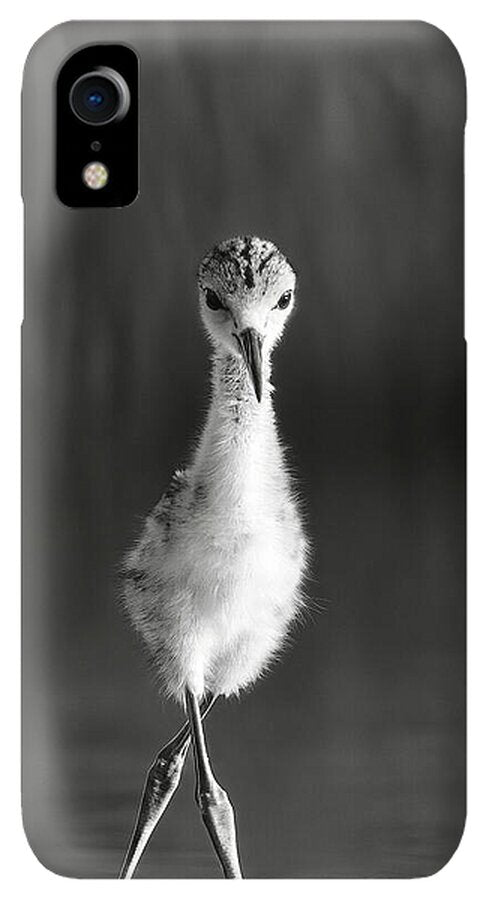Curious Young Bird Standing in Water - Phone Case
